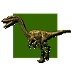 Coelophysis