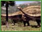 Episode 2 - des Diplodocus