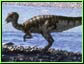 Episode 5 - un Leaellynasaurus