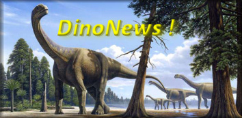 Accueil de Dinonews, le site des dinosaures