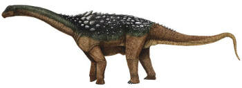 Ampelosaurus atacis