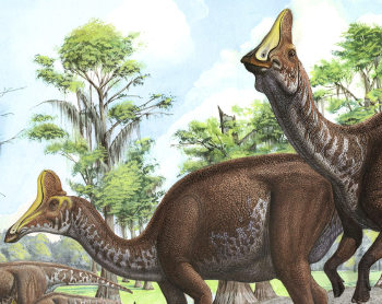 Amurosaurus hypothétique