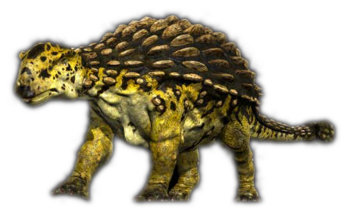 Ankylosaurus magniventris