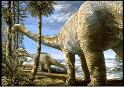 Ankylosaurus