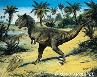 Carnotaurus