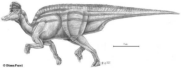 Corythosaurus