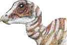 Un b�b� Hypacrosaurus