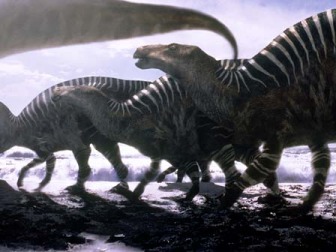 Un troupeau d'Iguanodon au bord d'une plage