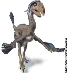 Incisivosaurus: le dinosaure à quenottes...