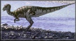 Leaellynasaura