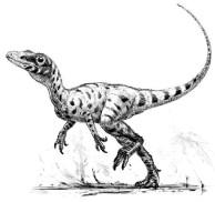Le Juravenator selon Alain B�n�teau (Paleospot)