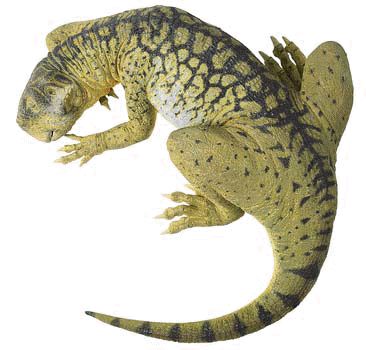 Blotti, le Psittacosaurus pouvait facilement se camoufler dans la végétation