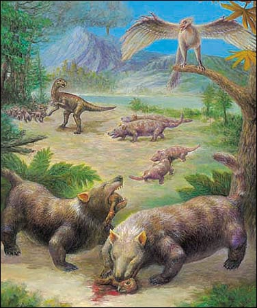 Reconstitution du Repenomamus robustus d�vorant un Psittacosaurus