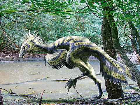 Dinosaure-oiseau