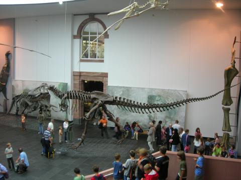 O� voir des dinosaures?